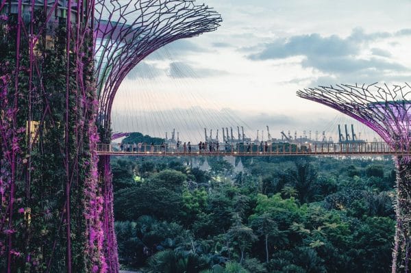 singapore gardens by the bay in singapore during a gloomy afternoon