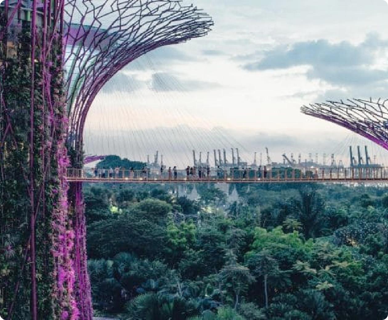 Rectangle 76@2x Garden by the bay, Singapore